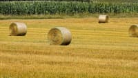 seno hay-bales-4501943 960 720